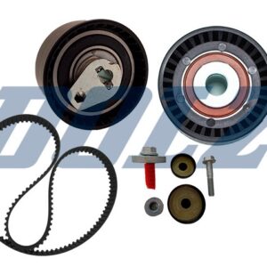 RENAULT Duster - Duster Oroch (2.0 16V F4R) - Fluence 2.0 TCE F4R - Megane 2.0 F4RT - Sandero 2.0 F4R / DOLZ
